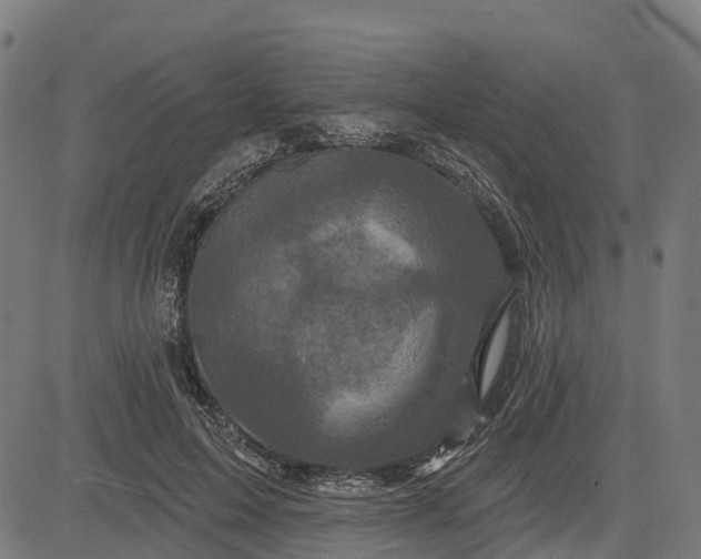 X0000084560599200703091747