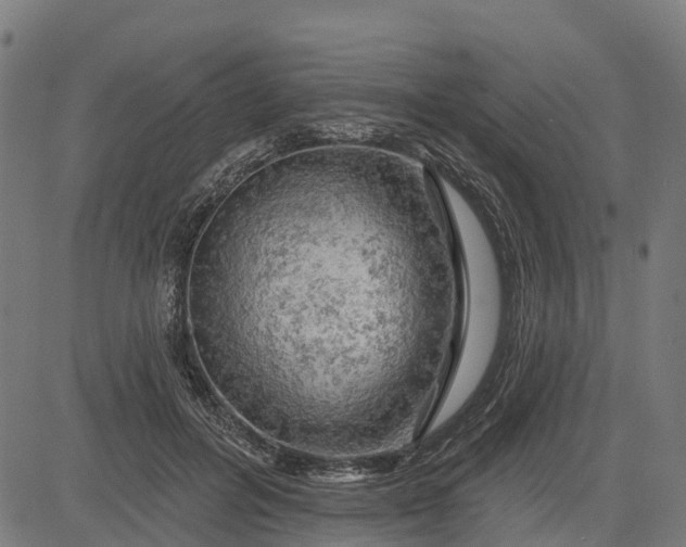 X0000084560600200703091747