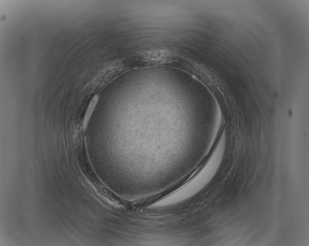 X0000084560601200703091747