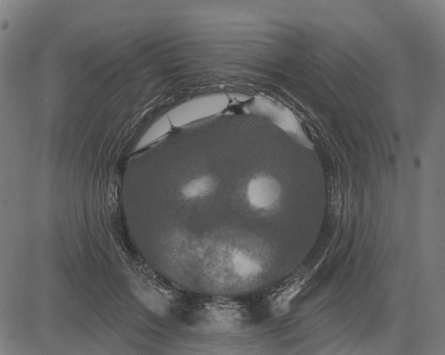 X0000084560603200703091747