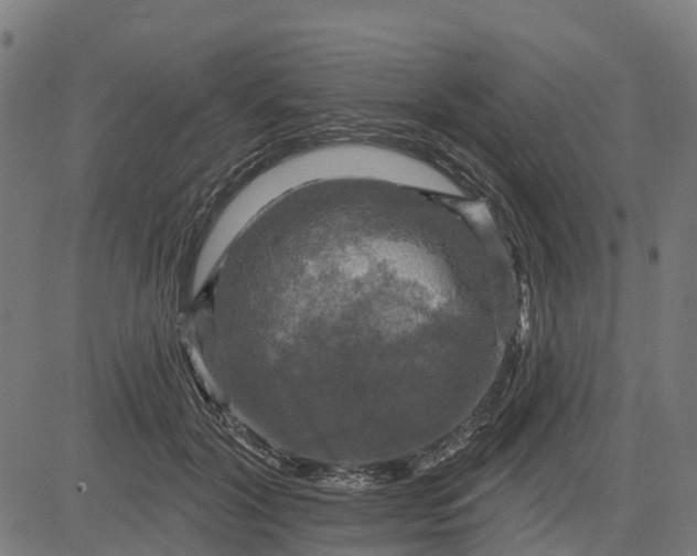 X0000084560604200703091747