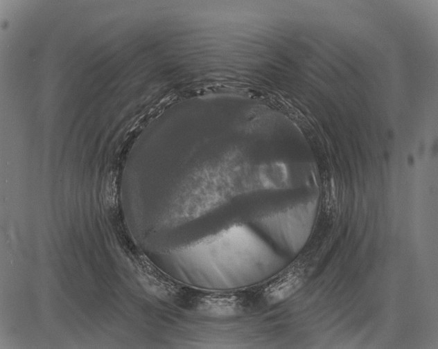 X0000084560606200703091747