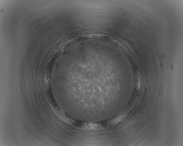 X0000084560607200703091747