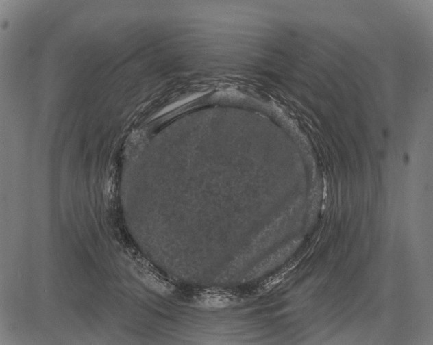 X0000084560608200703091747