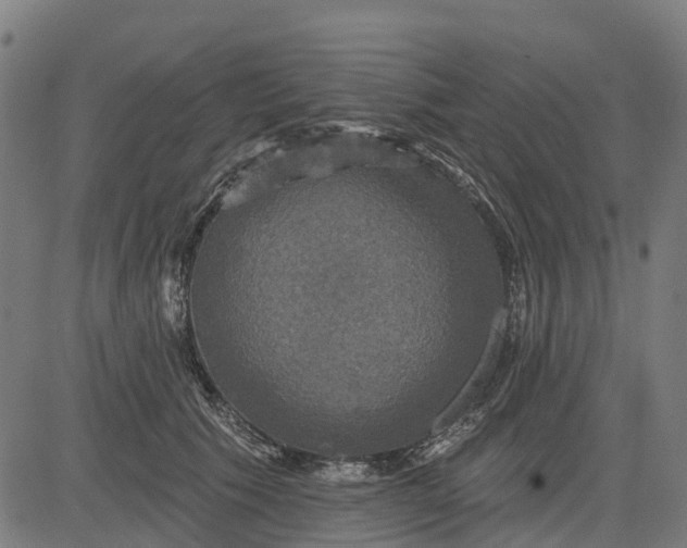 X0000084560609200703091747