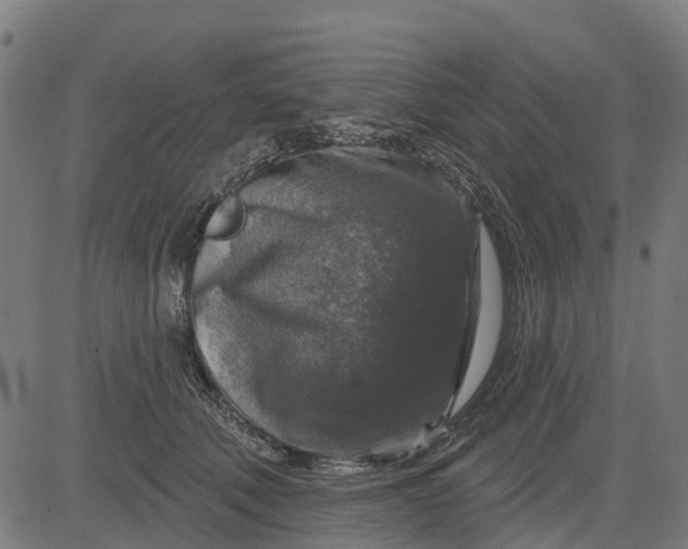 X0000084560610200703091747