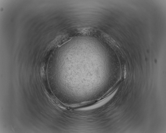 X0000084560611200703091747