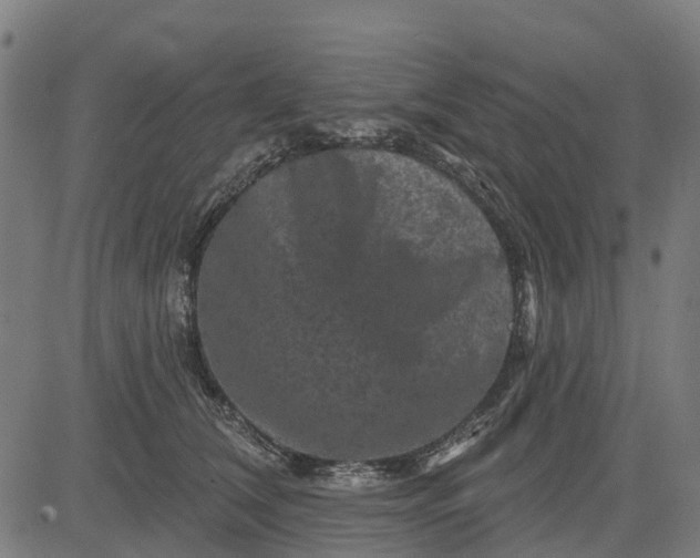 X0000084560612200703091747