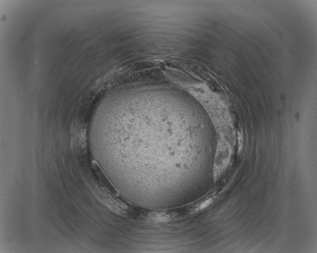 X0000084560613200703091747