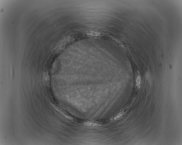 X0000084560614200703091747