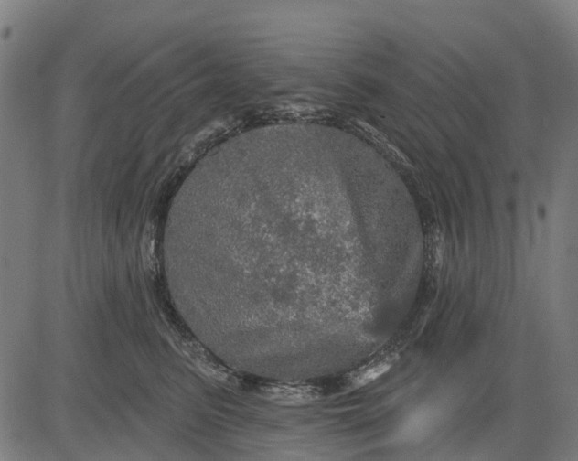 X0000084560615200703091747