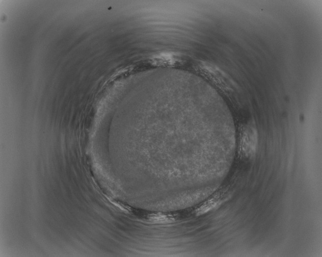 X0000084560616200703091747