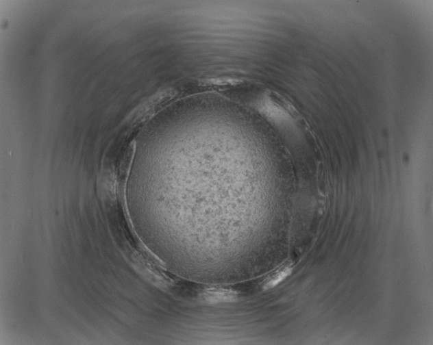 X0000084560617200703091747