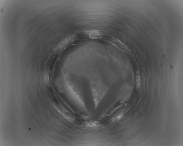 X0000084560618200703091747