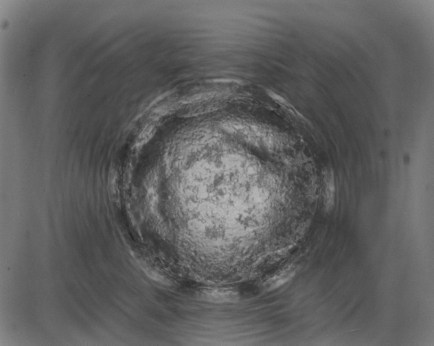 X0000084560619200703091747