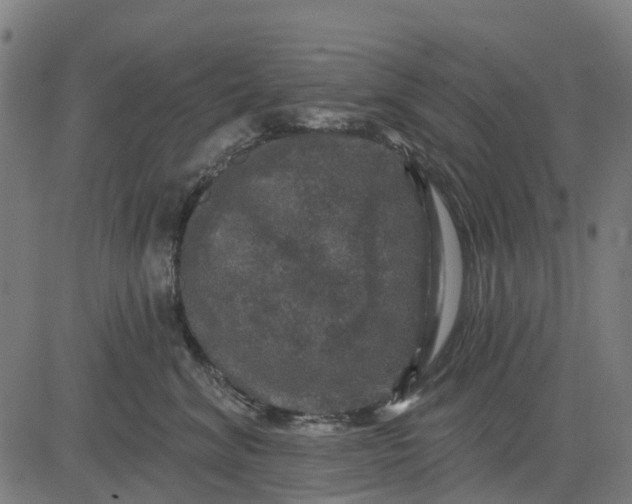 X0000084560620200703091747