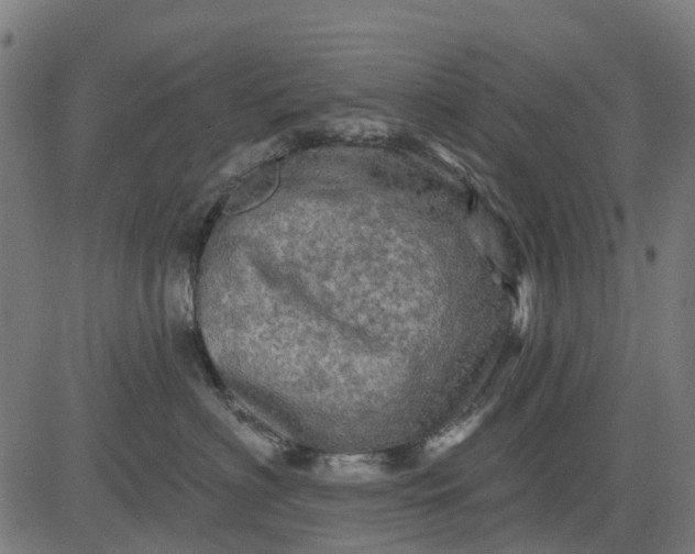 X0000084560622200703091747