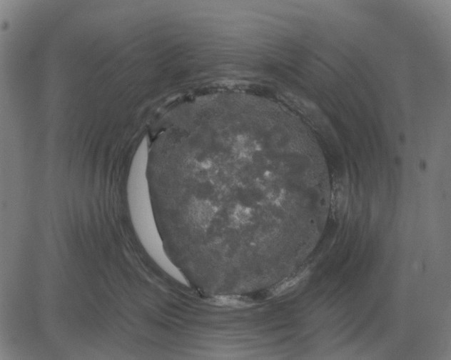 X0000084560623200703091747