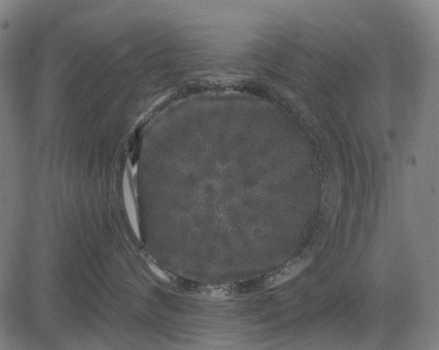 X0000084560624200703091747