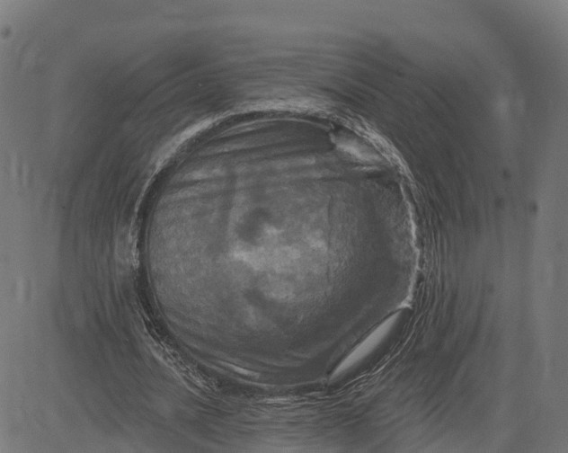 X0000084560628200703091746