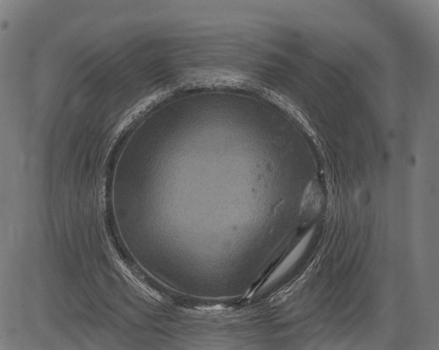 X0000084560629200703091746