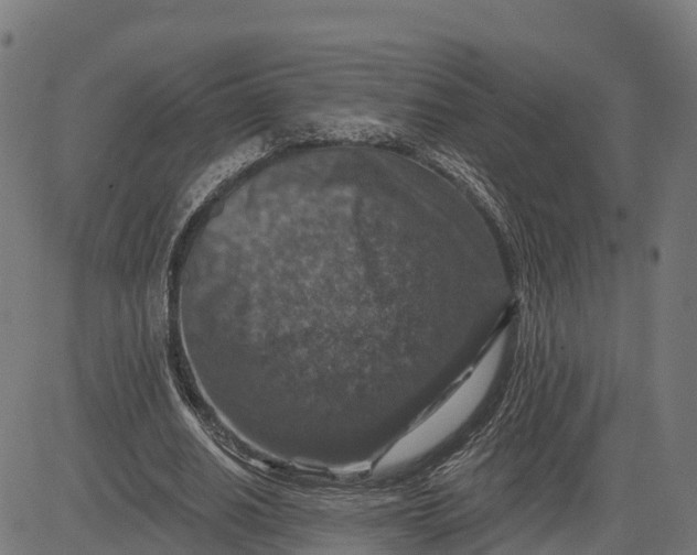 X0000084560630200703091746