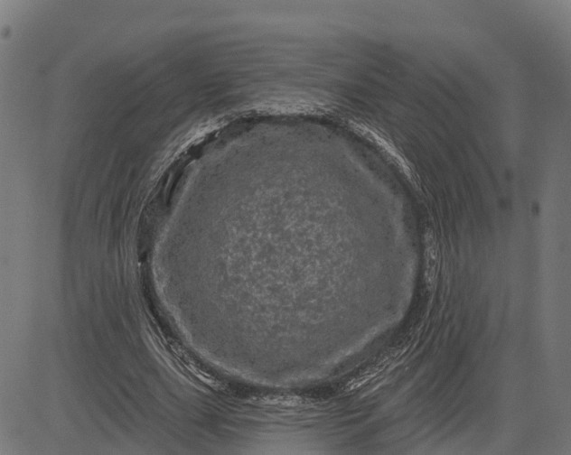 X0000084560631200703091746