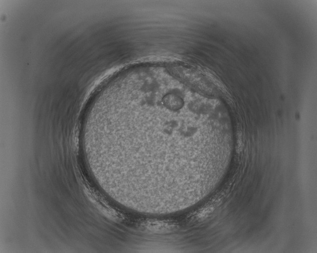 X0000084560632200703091746