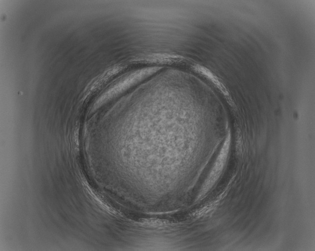 X0000084560633200703091746