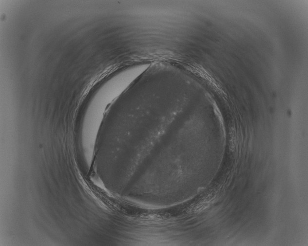 X0000084560634200703091746