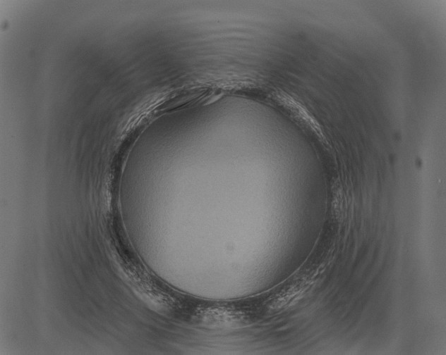 X0000084560635200703091746