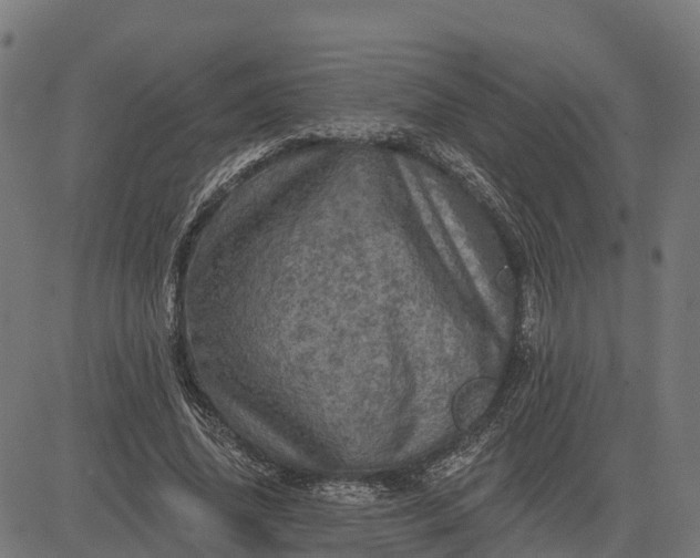 X0000084560636200703091746