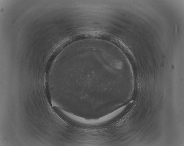 X0000084560637200703091746