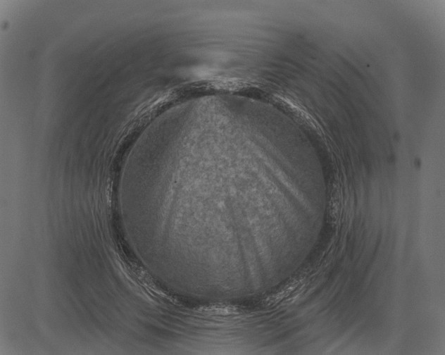 X0000084560639200703091746