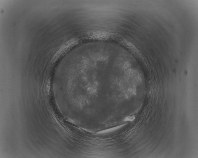 X0000084560640200703091746