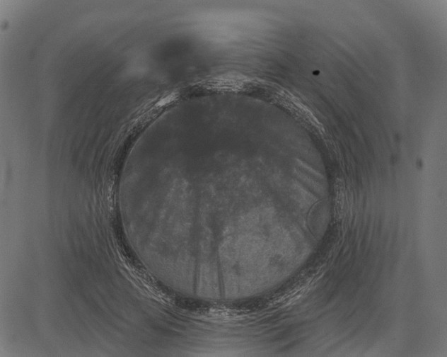 X0000084560641200703091746