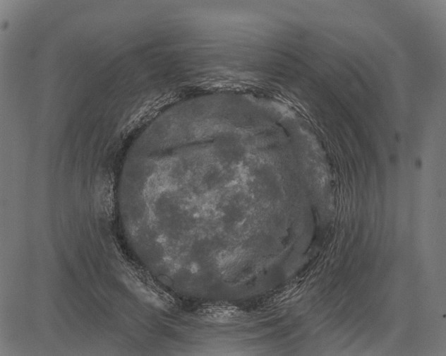 X0000084560642200703091746