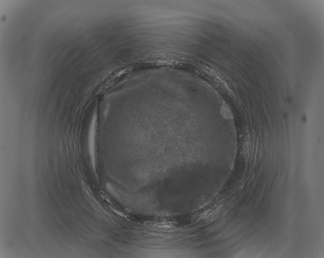 X0000084560643200703091746