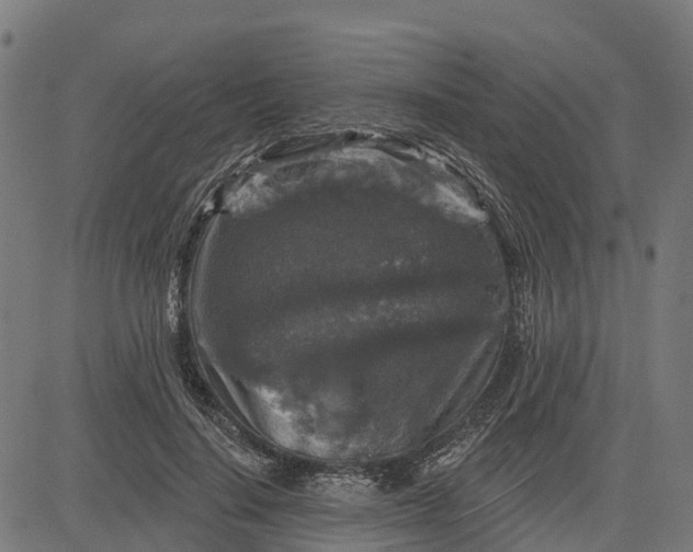 X0000084560644200703091746