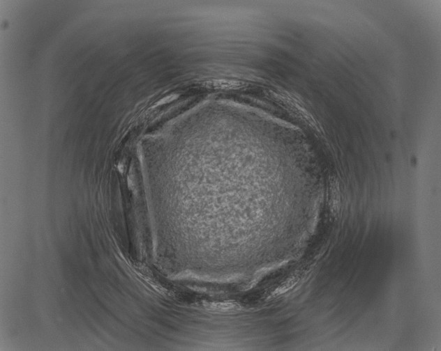 X0000084560645200703091746