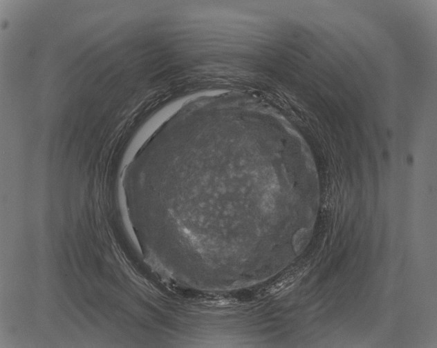 X0000084560646200703091746