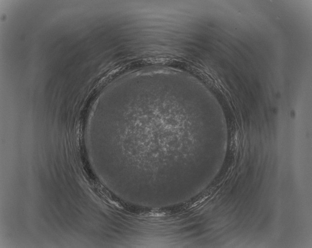 X0000084560647200703091746