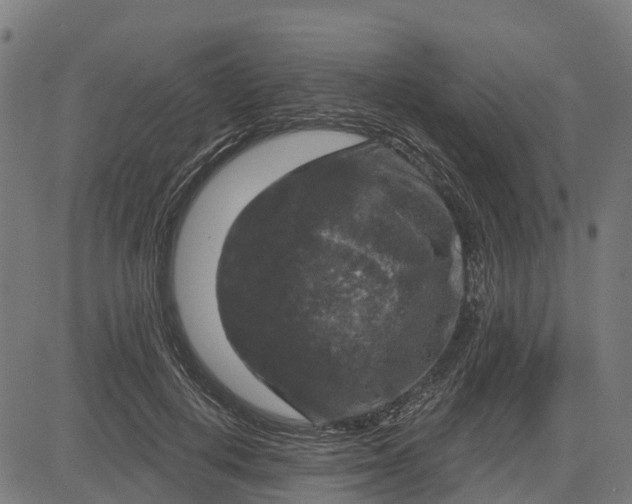 X0000084560648200703091746