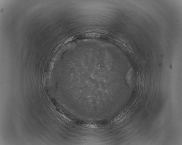 X0000084560649200703091746