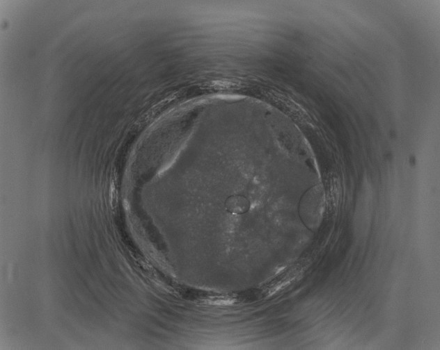 X0000084560651200703091746