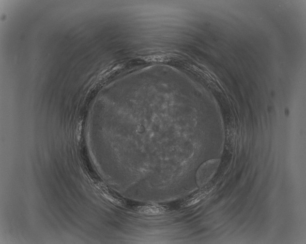 X0000084560652200703091746