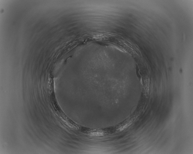 X0000084560653200703091746