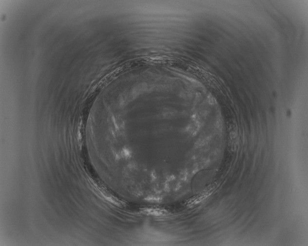 X0000084560654200703091746