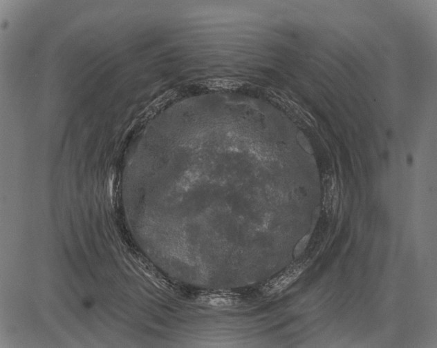 X0000084560655200703091746