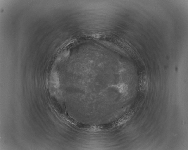 X0000084560656200703091746